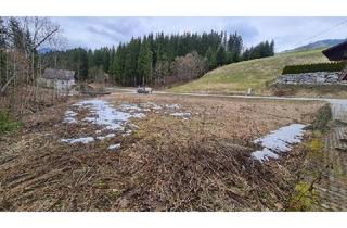 Grundstück zu kaufen in 4574 Vorderstoder, Wandern, biken und die Berge erklimmen!