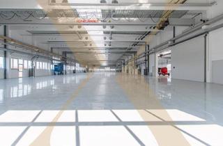 Lager kaufen in 4614 Marchtrenk, Gewerbehalle - Neubau - mit Kränen und optimaler Verkehrsanbindung in Marchtrenk zu verkaufen!