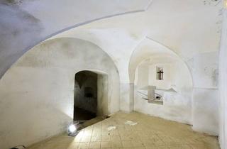 Lager mieten in Spitzendorfergasse, 2511 Pfaffstätten, Variabler Lagerraum in Pfaffstätten mit Eigenem Eingang