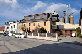 Wohnung mieten in 3542 Gföhl, 2-ZI Mietwohnung im Stadtzentrum OG Top 4