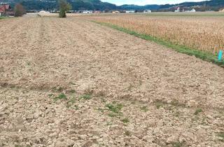 Grundstück zu kaufen in 8443 Gleinstätten, Zentral liegendes, ebenes, sonniges Grundstück in Gleinstätten