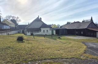 Grundstück zu kaufen in Hauptstrasse 10, 3422 Altenberg, Grosszügiges Baugrundstück von ca. 3432M2 in 3422 Altenberg