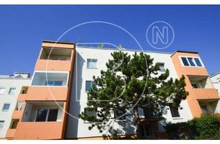 Wohnung kaufen in 3100 Sankt Pölten, Moderne 3-Zimmer-Loggia-Wohnung in Grünruhelage!