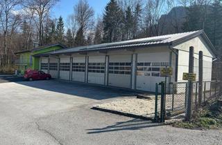 Büro zu mieten in 5082 Grödig, Bürogebäude mit Lagerhalle und etlichen Parkplätzen [Telefonnummer entfernt]