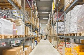 Büro zu mieten in 4061 Pasching, Neuwertige Lagerhalle mit Krannasen und Bürofläche zu vermieten!