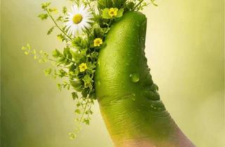 Haus mieten in Bündtweg, 6824 Schlins, suchen Mieter für Haus in Schlins mit grünem Daumen