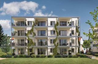 Wohnung mieten in 4240 Freistadt, fontana VERDE_Neubau Mietwohnung_Top D03