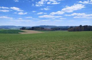 Gewerbeimmobilie kaufen in 4762 Sankt Willibald, Liegenschaft mit ca. 20 ha landwirtschaftliche Nutzflächen