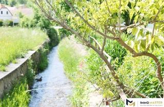 Grundstück zu kaufen in 7433 Mariasdorf, 1,2 Hektar Grundstück für die Erholung/Selbstversorgung bei Bad Tatzmannsdorf