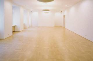 Büro zu mieten in Graben, 1010 Wien, Geschäftsfläche - 2 Ebenen - Seitengasse Graben