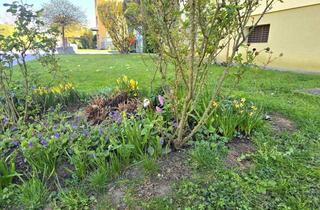 Wohnung kaufen in 8053 Graz, * * * LEISTBARES WOHNEN... AM ENDE EINER SACKGASSE GELEGEN - INMITTEN LIEBEVOLL GEPFLEGTER GRÜNFLÄCHEN * * *