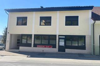 Wohnung mieten in Hauptstraße 44, 7540 Güssing, Wohnung mit Teichblick zu vermieten!