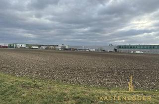 Lager kaufen in 7111 Parndorf, Bauland Industrie
