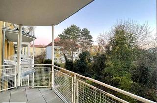 Wohnung mieten in 2000 Stockerau, 2 Zimmer nach Renovierung mit grossem BALKON - BLICK is GRÜNE