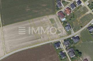 Grundstück zu kaufen in 5113 Sankt Georgen bei Salzburg, 616m2 Baugrund für Ihr Traumhaus!