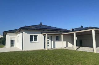 Haus kaufen in 7431 Bad Tatzmannsdorf, NEUER PREIS! Hochwertiger, moderner Bungalow, Erstbezug