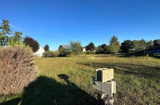  in 2231 Strasshof an der Nordbahn, Grundstück in Strasshof zu Verpachten!