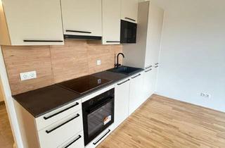 Wohnung mieten in Purgleitnerstraße 47/9, 8042 Graz, Erstbezug : Überaus Elysische Eineinhalbzimmerwohnung mit Tiefgaragrenplatz und Balkon im Bezirk St. Peter, zur Miete!