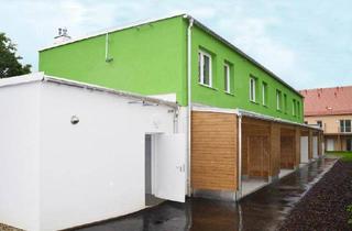 Wohnung mieten in Hauptstraße 22/2/7, 3842 Thaya, Junges Wohnen in Thaya