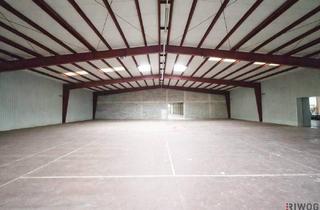 Büro zu mieten in 2304 Orth an der Donau, 1.100m² isolierte Lagerhalle mit 250m² Büro | Rampen & ebenerdige Einfahrt möglich | optional bis zu ca. 2.000m² Lager möglich