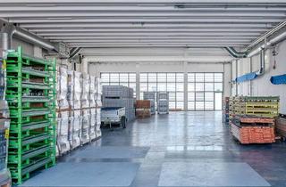 Büro zu mieten in Riedstraße, 6845 Hohenems, Industriefläche in Hohenems zu vermieten