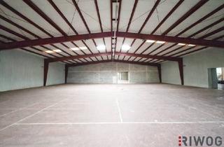 Immobilie mieten in 2304 Orth an der Donau, 1.100m² isolierte Lagerhalle mit 250m² Büro | Rampen & ebenerdige Einfahrt möglich | optional bis zu ca. 2.000m² Lager möglich