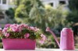 Wohnung mieten in Ettendorf 81, 9472 Ettendorf, Familientraum im Grünen! 3 Monatsmieten gespart!