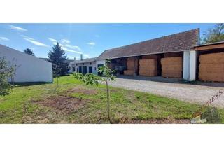 Bauernhäuser zu kaufen in 2253 Tallesbrunn, Zweifamilienhaus mit großzügigem Grundstück