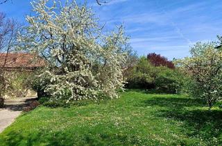 Grundstück zu kaufen in 3550 Langenlois, Baugrund in sonniger Lage - Zentrumsnah!