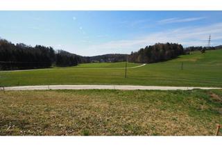 Grundstück zu kaufen in Modenmüllerweg, 8113 Plankenwarth, Notverkauf! Baugrund mit bewilligter Einreichplanung bei St. Oswald/Plankenwarth