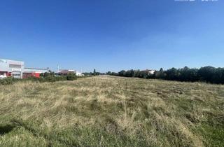 Grundstück zu kaufen in 2521 Trumau, Betriebsgrundstück zum Kauf