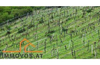 Grundstück zu kaufen in 3400 Klosterneuburg, BAUGRUNDSTÜCK IN ERSTKLASSIGER LAGE