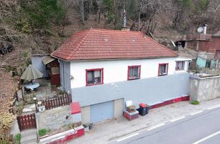 Haus kaufen in 4320 Perg, Wohnhaus mit Sanierungsbedarf in ruhiger Waldrandlage