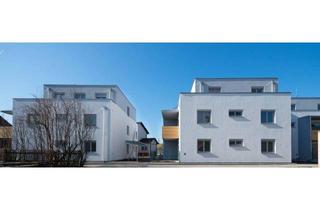 Wohnung mieten in Bahnhofstraße, 3202 Hofstetten, GRÜNAU IX/1, geförderte Mietwohnung mit Kaufoption, Stiege 1 / TOP 101 - EG, 1000/00011901/00001101