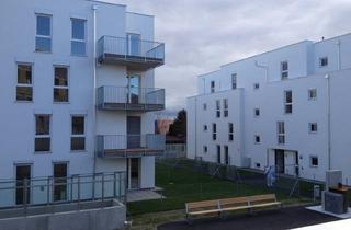 Wohnung mieten in Anton-Benya-Straße 3-7/2, 2334 Vösendorf, 3-Zimmer-Wohnung mit 67M² in Vösendorf!