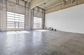 Lager mieten in Korneuburg Nord - Autobahn, 2100 Korneuburg, Innovativer Betriebsstandort mit Ca. 3.300M² Nutzfläche | Büro-, Produktions- & Lagerflächen | Teilflächen Möglich