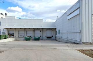 Lager mieten in Perfektastraße, 1230 Wien, Halle mit 8 Ladetoren und Perfekter Anbindung