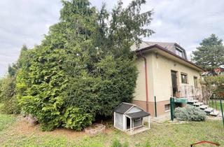 Einfamilienhaus kaufen in Hausfeldstraße, 1220 Wien, Ein großzügiges Einfamilienhaus in Aspern!