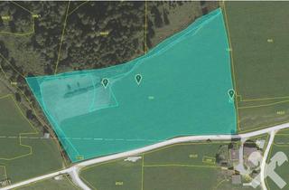 Gewerbeimmobilie kaufen in 8967 Haus, 2 ha landwirtschaftlicher Grund am Petersberg bei Haus im Ennstal
