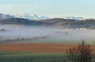Wohnung kaufen in 4407 Dietach, HOCHWERTIGE EIGENTUMSWOHNUNG MIT PANORAMABLICK