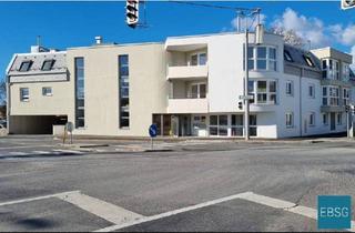 Wohnung mieten in Hauptstraße 1A WE 1/9, 2482 Münchendorf, Betreubares Wohnen: 2-Zimmerwohnung im 1.OG