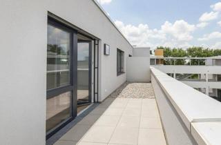 Wohnung mieten in Merbotogasse 61, 2700 Wiener Neustadt, Wunderschöne Erstbezugswohnung mit Dachterrasse