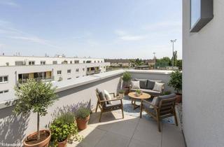Wohnung mieten in Merbotogasse 61, 2700 Wiener Neustadt, Traumhafte Wohnung mit wunderbarer Dachterrasse
