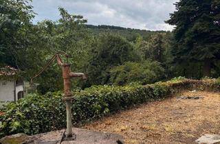 Grundstück zu kaufen in 2384 Breitenfurt bei Wien, Baugrundstück mit Altbestand in Breitenfurt-Ost