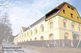 Wohnung kaufen in Hauptstraße 58, 8813 Sankt Lambrecht, Traumwohnung mit Traumaussicht