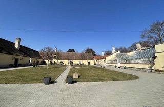 Wohnung mieten in 2213 Bockfließ, Herrliche Wohnung mit Hauscharakter - Willkommen im Falknerhof des Schloss Bockfließ