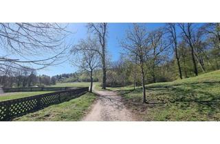 Grundstück zu kaufen in Seuttergasse 60, 1130 Wien, Grundstück mit Baugenehmigung - beim Lainzer Tiergarten - Lift im Haus möglich