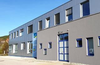 Büro zu mieten in Leobersdorfer Straße 42, 2560 Berndorf, Büros im RIZ UP Gründerzentrum Berndorf - ab 30 m²