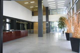 Büro zu mieten in Ares Tower, Donau-City Straße 11, 1220 Wien, Modernes Büro im Ares Tower zu Mieten