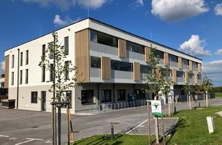 Wohnung kaufen in Wals, Salzburg, 5071 Wals, Moderne 2-Zimmer Wohnung in Wals! (Baurecht)